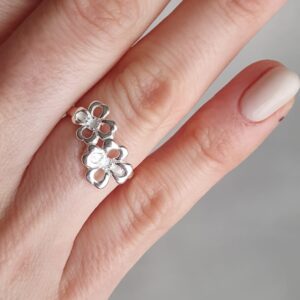 Anillo Reira