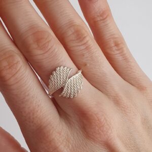 Anillo Alas