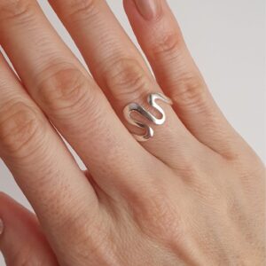 Anillo Liso