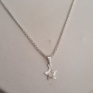Conjunto Rolito Estrella 45CM